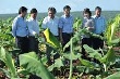 Cao su Bình Long: Tổ chức tốt SXKD, đảm bảo lợi nhuận
